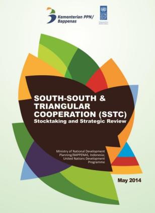 Logo UNDP SSTC