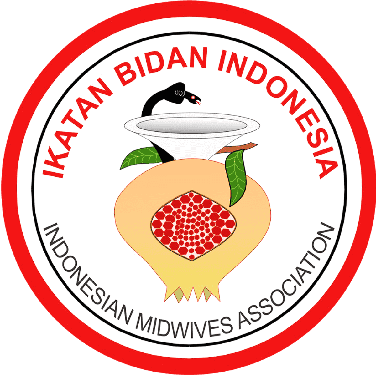 Logo IBI